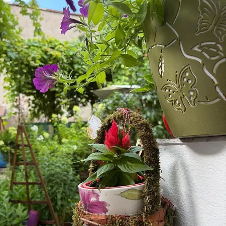 Hidden Gem Garden 招待所