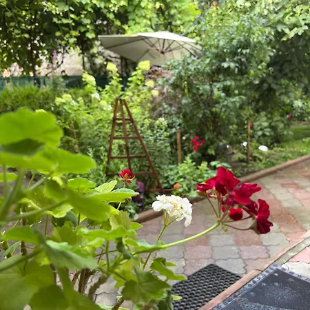 Hidden Gem Garden 布加勒斯特